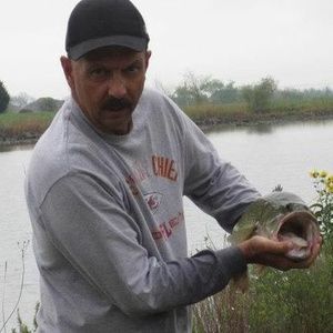 Meet your Posher, Steve